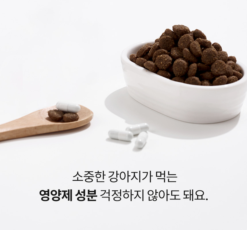 노령 반려동물을 위한 항산화제 본아페티 안티에이지캡스 60정