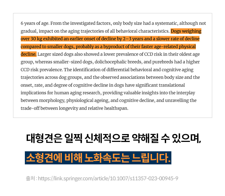 노령 반려동물을 위한 항산화제 본아페티 안티에이지캡스 60정