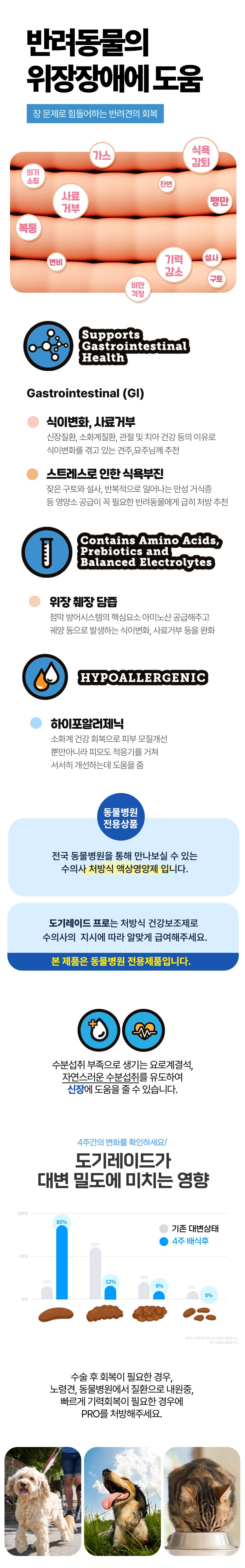 반려동물 액상 영양식 도기레이드 프로 500ml 무료