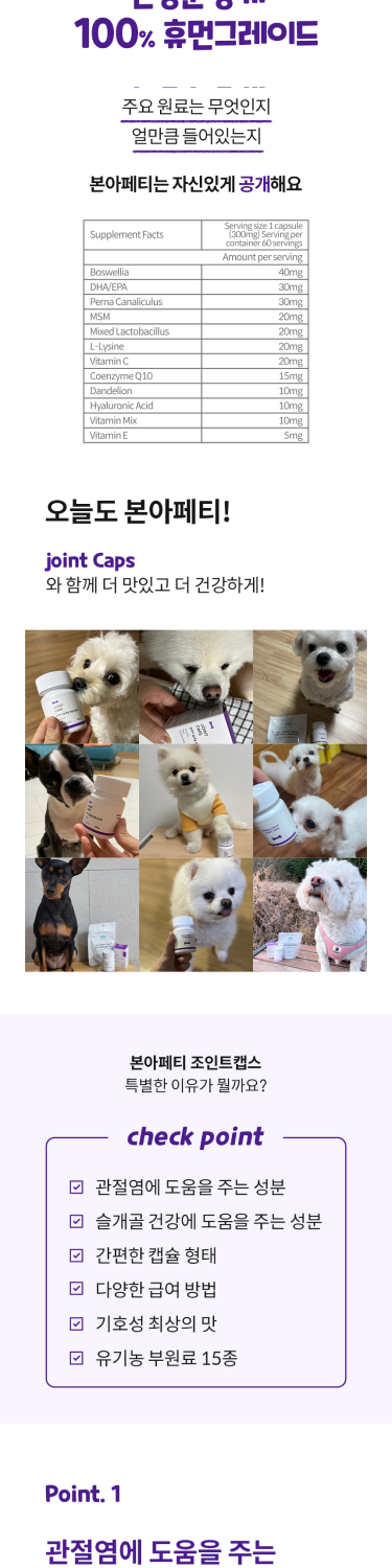 강아지 고양이 관절영양제 본아페티 조인트캡스 60정