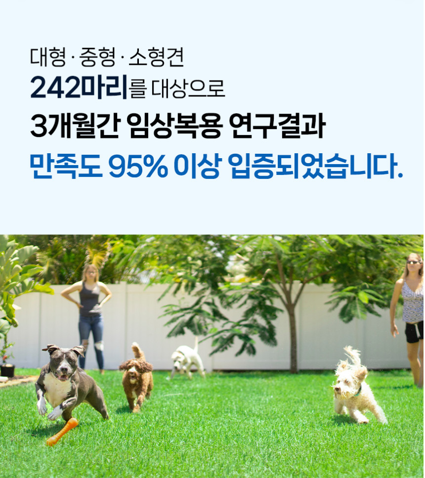 강아지 고양이 관절영양제 닥터앤펫 제이솔루션 90g