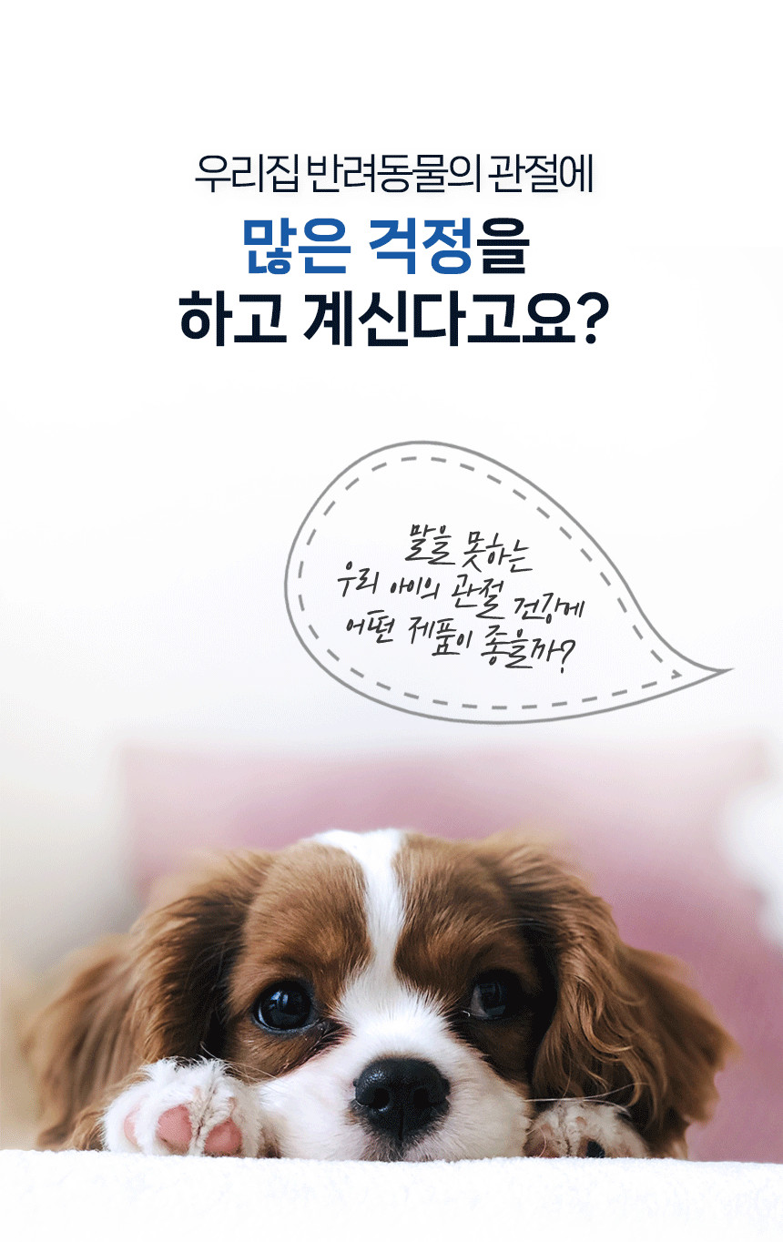 강아지 고양이 관절영양제 닥터앤펫 제이솔루션 90g