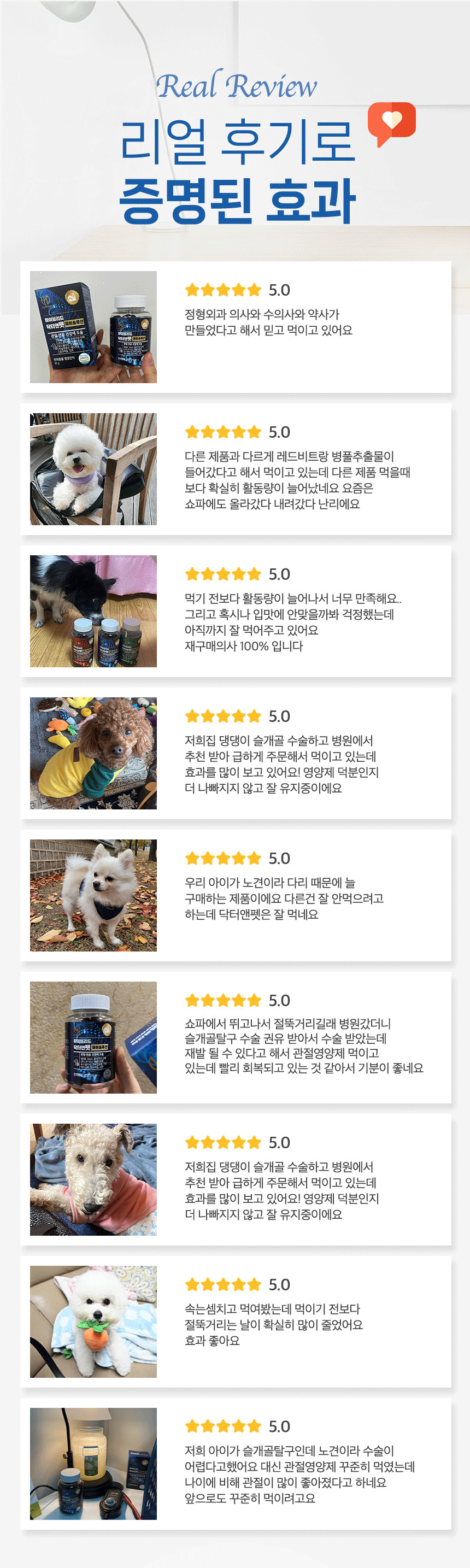 강아지 고양이 관절영양제 닥터앤펫 제이솔루션 90g