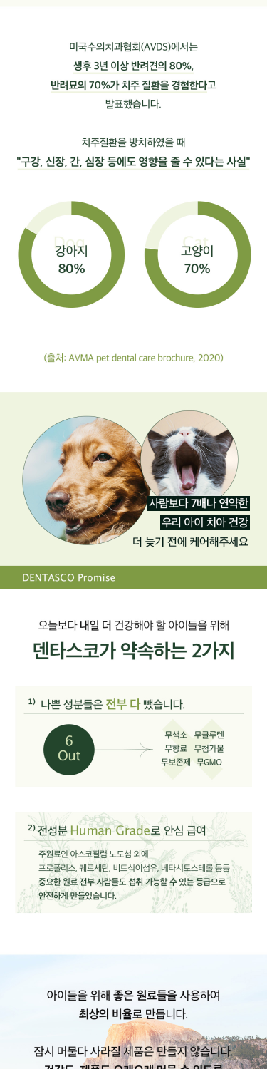 덴타스코 구강&덴탈 강아지 고양이 2g 60포