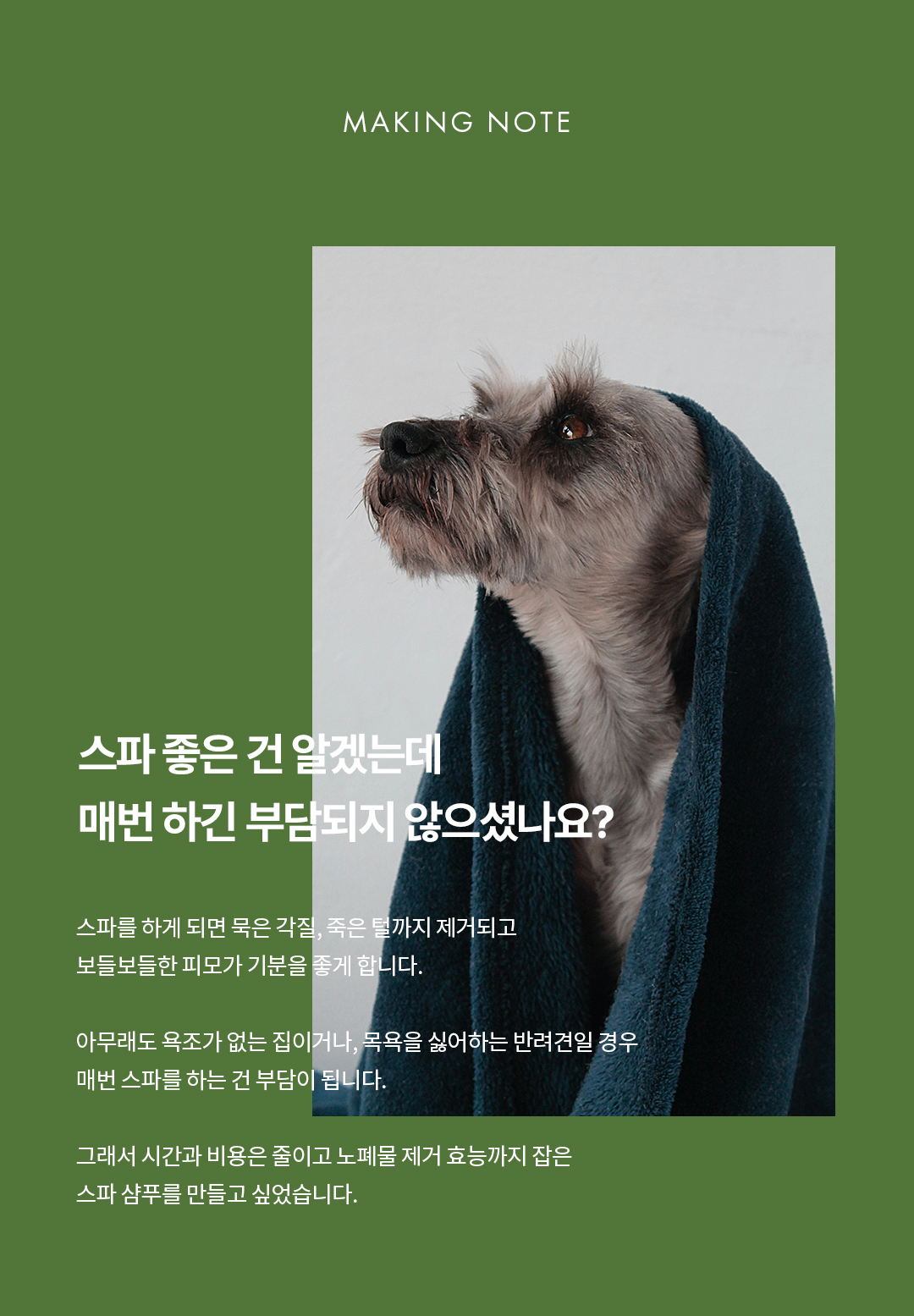 강아지 고양이 저자극 샴푸 올더퍼리 스파 300ml