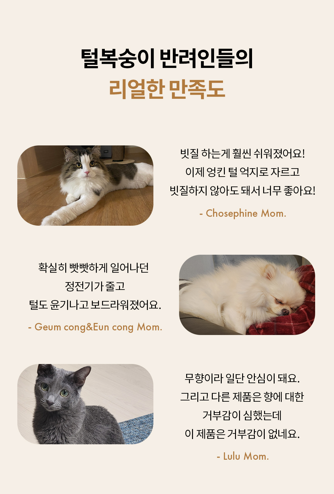 강아지 고양이 겨울철 보습 올더퍼리 컨디셔닝 미스트 150ml